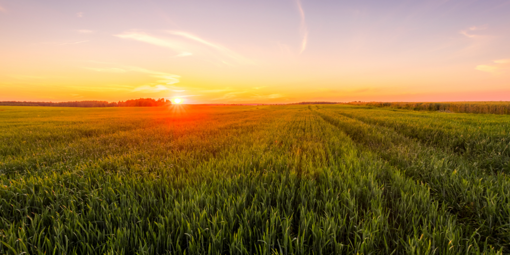 agriculture detergents