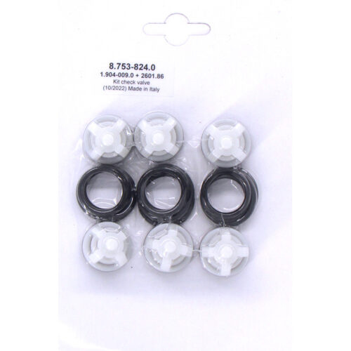 Hotsy Pump Valve Kit