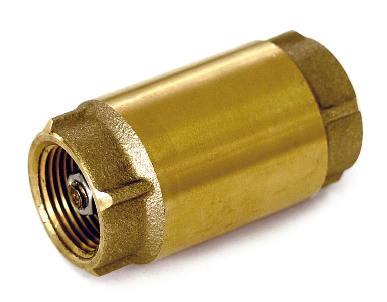 Check Vlv-Spg (Br) 1/2'