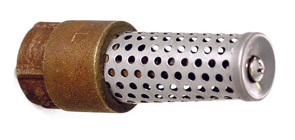 Foot Vlv-Perf/Scrn (Br) 1/2'