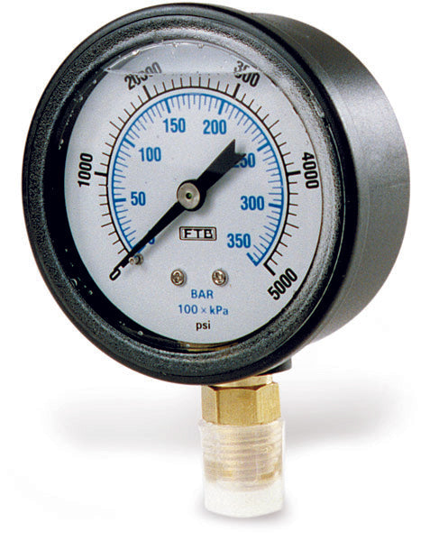 Gauge 200 Psi Btm 2.5' Abs
