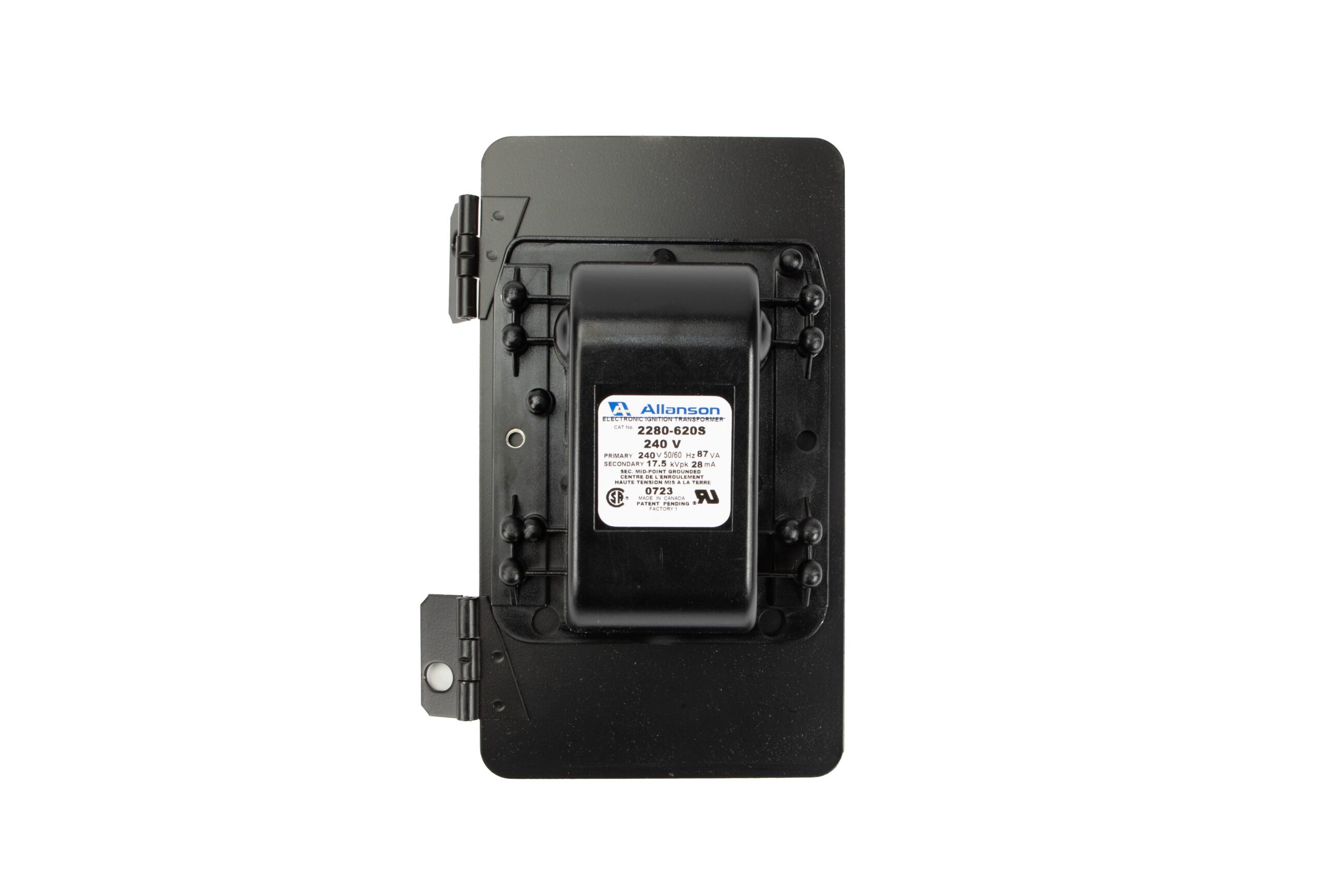 Ignitor, 220V, Side/Eh-Eha Mount